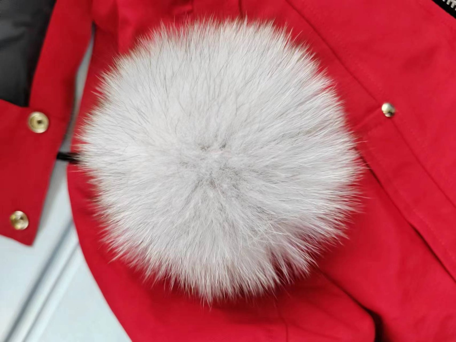 wsxc1761600899274_11