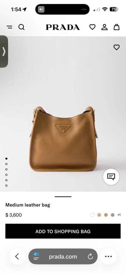 prada bag